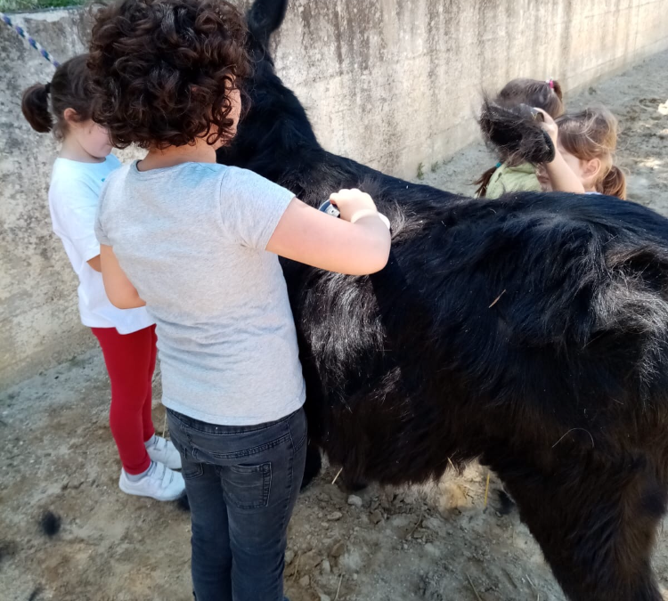 Scuole all’aperto, in Puglia anche nel settore pubblico