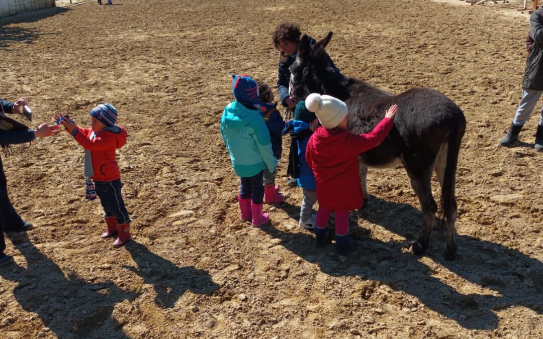 Outdoor education adesso è legge in Puglia, almeno nelle masserie didattiche